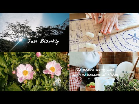 Видео: С весны до лета, дни двенадцати солнечных терм Кореи🌷🌞