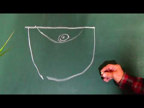 Видео: Ранний    посев   ампельной петунии  - это очень выгодно!