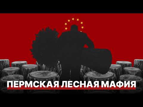 Видео: Кто пилит Пермские леса: депутат-единорос и фальшивые акты ЛПО