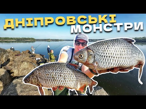 Видео: Я ТАКИХ ДРАКОНІВ В ЖИТТІ НЕ ЛОВИВ! ТАКОГО НЕ ОЧІКУВАВ НІХТО!
