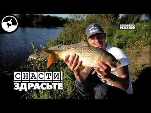 Видео: Сазан на ультралайт | Снасти, здрасьте!