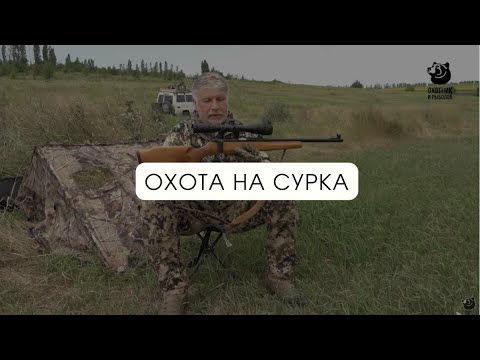 Видео: Охота на сурка // В одиночку на зверя