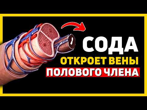 Видео: Как СОДА вернёт вам энергию, улучшит кровообращение и восстановит близость