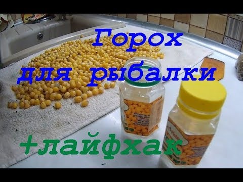 Видео: Как приготовить горох для рыбалки?