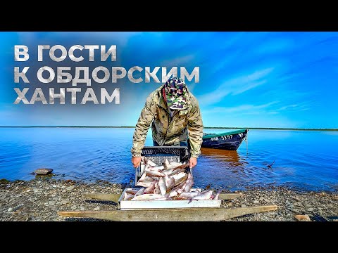 Видео: В гости к Обдорским ханты | Тут султам