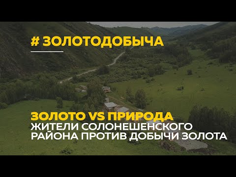 Видео: На Алтае разгорелся конфликт из-за добычи золота в Солонешенском районе