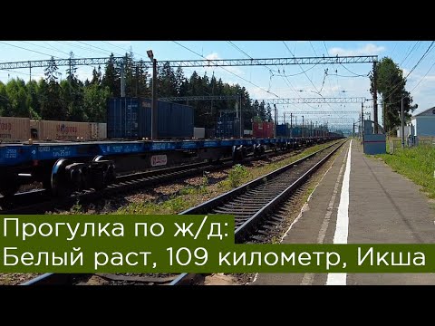 Видео: Прогулка по железной дороге: Белый раст, 109 километр, Икша. БМО, Савёловское направление