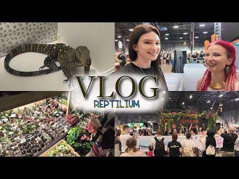 Видео: VLOG // выставка REPTILIUM / ОГРОМНЫЕ ящерицы / взяла ИНТЕРВЬЮ / ДИНОЗАВР?! / животные и ЦЕНЫ