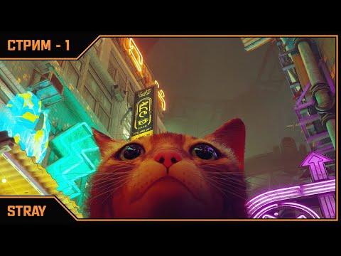 Видео: STRAY ➛ Стрим #1