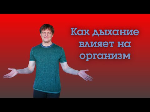 Видео: Как дыхание влияет на организм