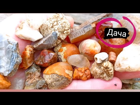 Видео: Изучаем дачные камни с названиями, ищем ценные и интересные. Самоцветы Москва и Область