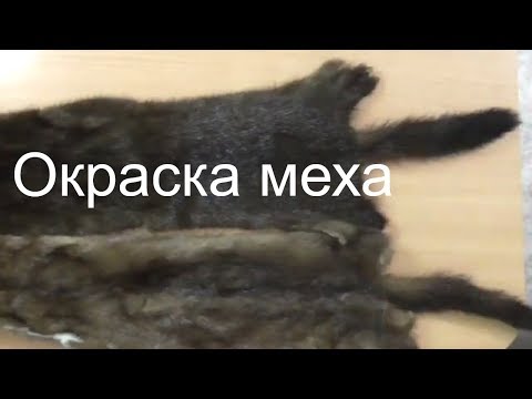 Видео: Окраска меха в домашних условиях