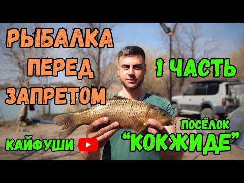 Видео: Рыбалка река "Или" "Кокжиде"