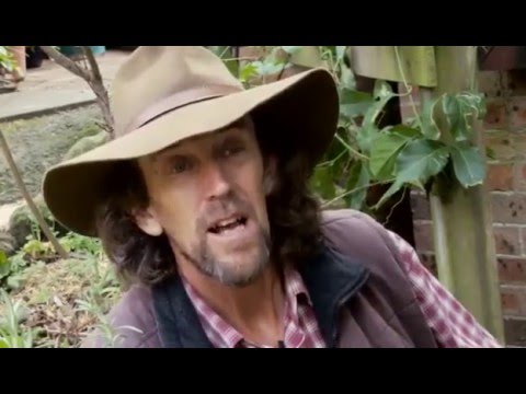 Видео: Городская пермакульутра. Джефф Лотон