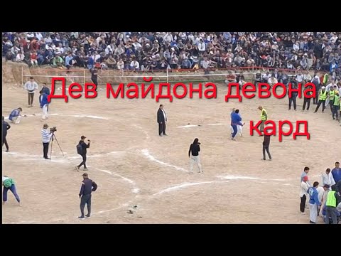 Видео: Гуштини калон дар д парчасой н Ёвон