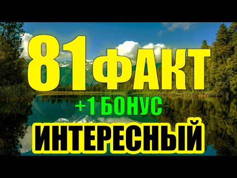 Видео: 81 Интересный Факт, Который Вы Точно Не знали... — (+1 БОНУС ФАКТ)