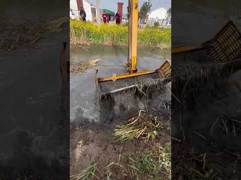 Видео: JCB поймал рыбу 🐠🐟 из реки [151]