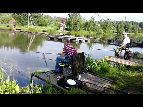 Видео: Карп на Херабуну. Утро в Светлых Горах.