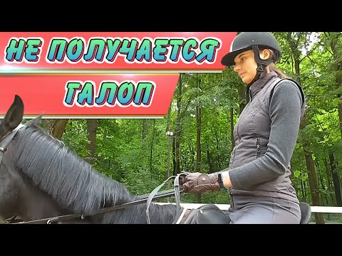 Видео: Не получается подъем в галоп