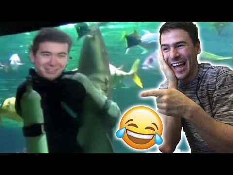 Видео: НА БАЛ С АКУЛА?!😂 @bgmonsterX1