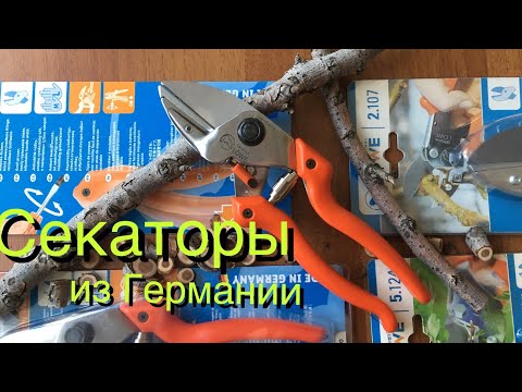 Видео: ТЕСТ ПРОФЕССИОНАЛЬНЫХ НЕМЕЦКИХ СЕКАТОРОВ. Фирма «ЛЁВЕ»