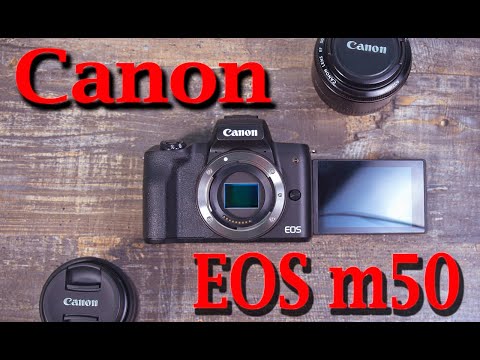 Видео: Canon EOS m50. Что нужно знать перед покупкой.