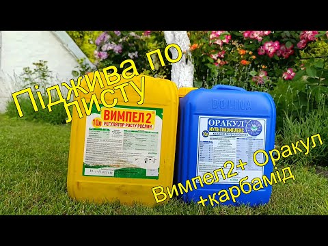 Видео: Рости гарбуз великий привеликий. Піджива гарбуза по листу.