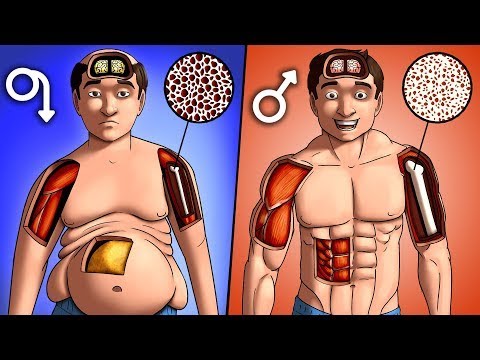 Видео: 10 Способов Как Быстро Повысить Тестостерон Естественным Путём