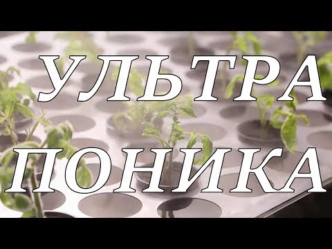 Видео: Аэропоника. CyberPonic.