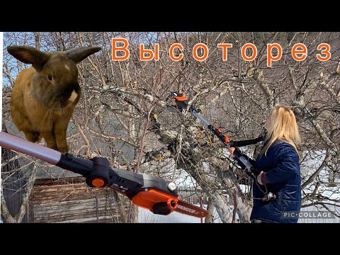 Видео: Высоторез аккумуляторный. Польза или вред?