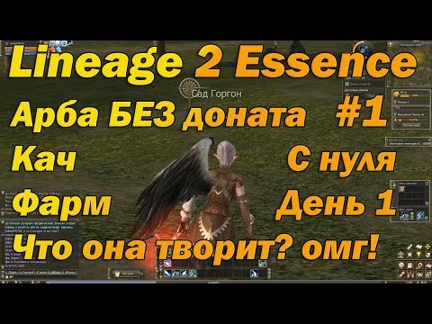 Видео: Что может арба БЕЗ доната, без кредита и родителей в Lineage 2 Essence на Руофе! Арба без вложений!
