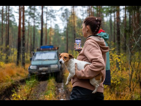 Видео: УНЖЛАГ, день второй: жуткая находка в лесу и костромские деревни XVIII века