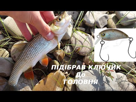 Видео: р. Бистриця Надвірнянська VS р. Бистриця Солотвинська