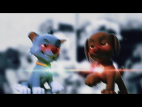 Видео: 💕Рокки и Зума💕(Наверно потому что)~Для канала Зума Зик~ 💕Rocky x Zuma💕