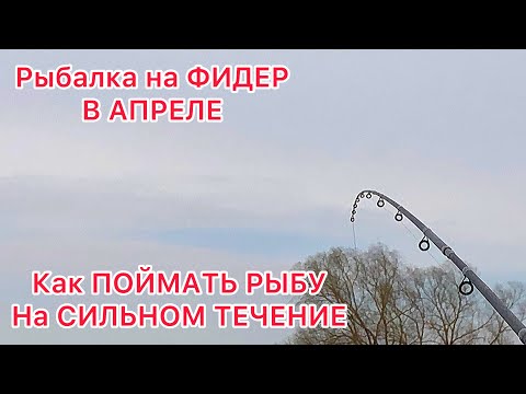 Видео: Рыбалка на ФИДЕР в АПРЕЛЕ/ Как поймать РЫБУ на СИЛЬНОМ ТЕЧЕНИИ