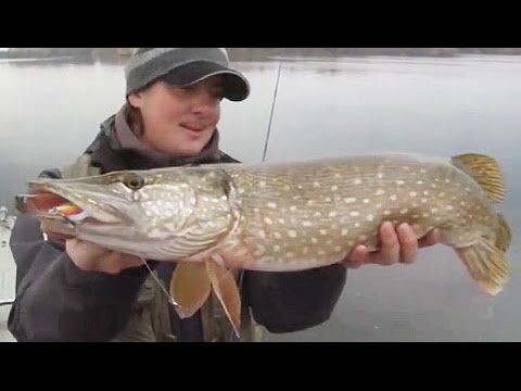 Видео: Рыболов Эксперт. Крупные воблеры Minnow. Часть 1
