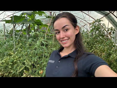 Видео: Влог от Вълчедръм 👩🏻‍🌾