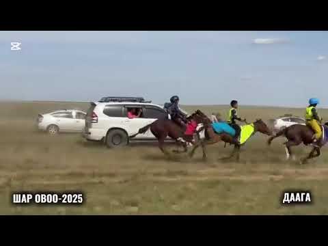 Видео: Шар овоо-2025 даага