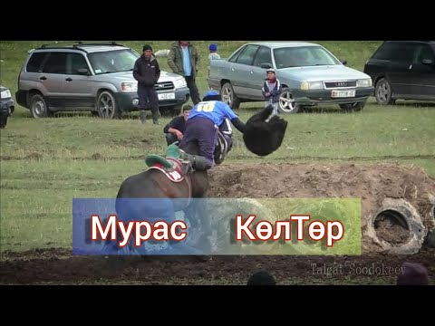 Видео: Каркырада кок бору 🔥 Мурас жана Көлтөр. Кооз салымдар👍