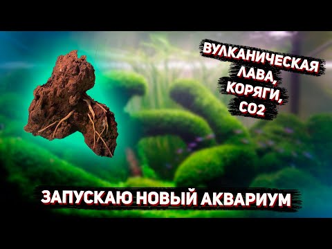 Видео: 🔥Акваскейп. Запуск нового аквариума🔥