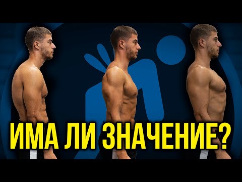 Видео: Правилна СТОЙКА - Трябва ли ни или всичко е лъжа?