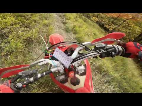 Видео: 26 октября 2025 г.