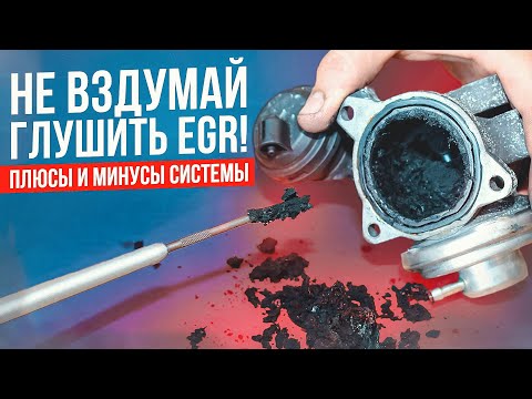 Видео: Почему опасно глушить систему EGR?