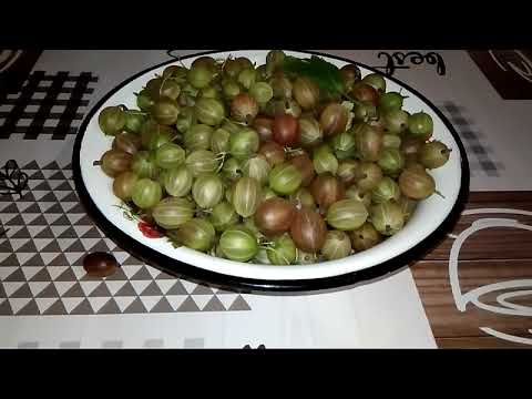 Видео: ИЗУМРУДНОЕ ВАРЕНЬЕ из КРЫЖОВНИКА или ЦАРСКОЕ. #рецепт #изумрудноеваренье #крыжовник