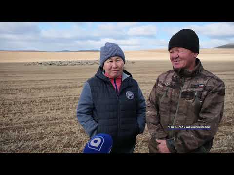 Видео: Фермеры из Хоринского района победили в конкурсе от минсельхоза