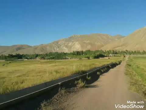 Видео: Джиргитал н Ляхшь