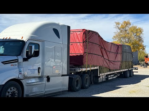 Видео: Чоп пресби?же бэде пресби? Я 😱