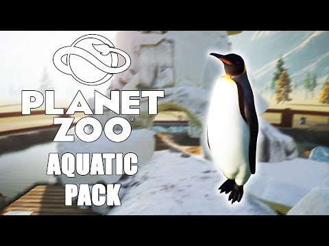 Видео: КОРОЛЕВСКИЙ ПИНГВИН! #1 PLANET ZOO AQUATIC PACK ПРОХОЖДЕНИЕ