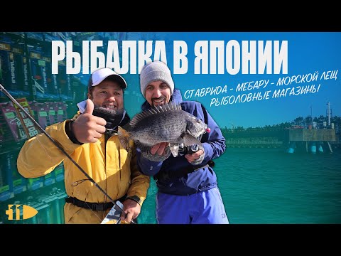 Видео: Рыбалка в Японии | Андрей Старков | Ставрида, Мебару, Черный лещ