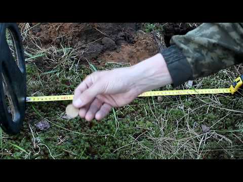 Видео: Тест на глубину Go Find 40 vs X-Terra 705. Вот так аномалия.